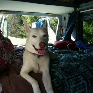 Meet your Posher, Susan